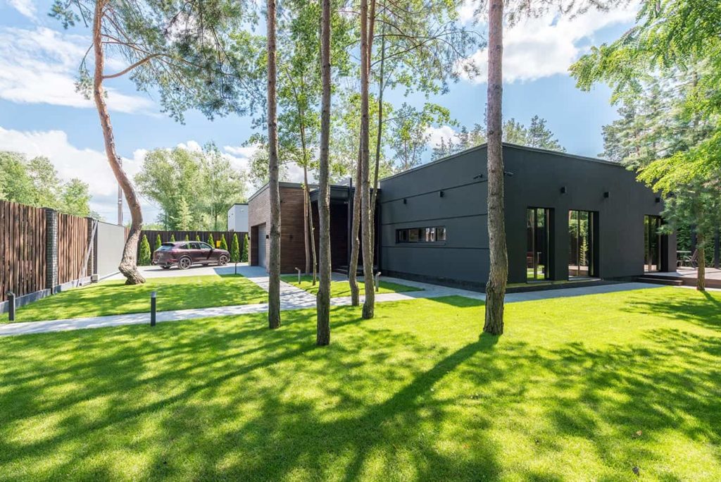 Projects Pexels Max Vakhtbovych 7587856 1024x684